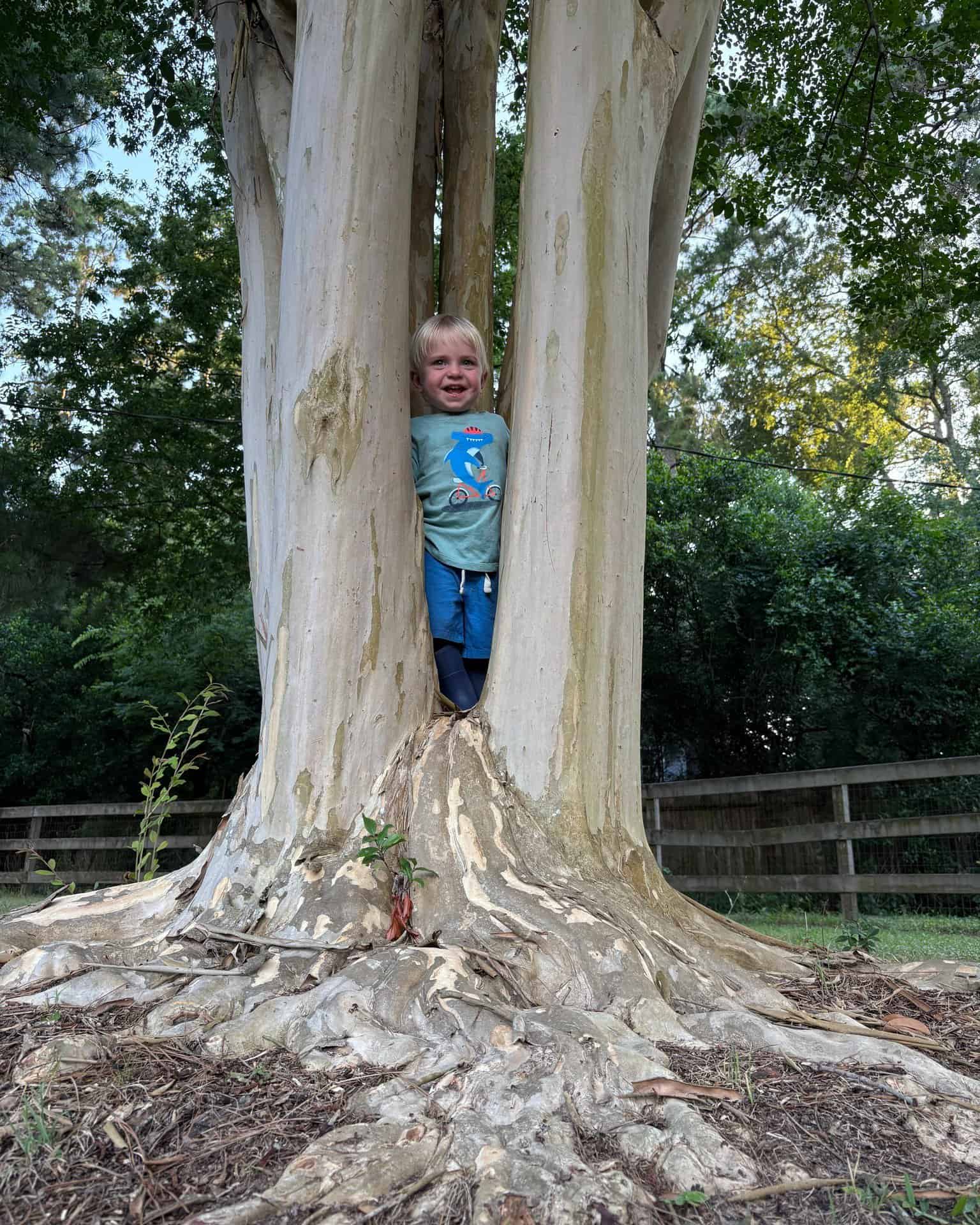 Privacy Policy for Spring Creek Tree Service, LLC