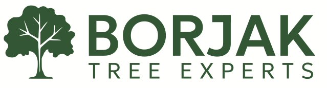 Borjak Tree Experts Borjak Tree Experts